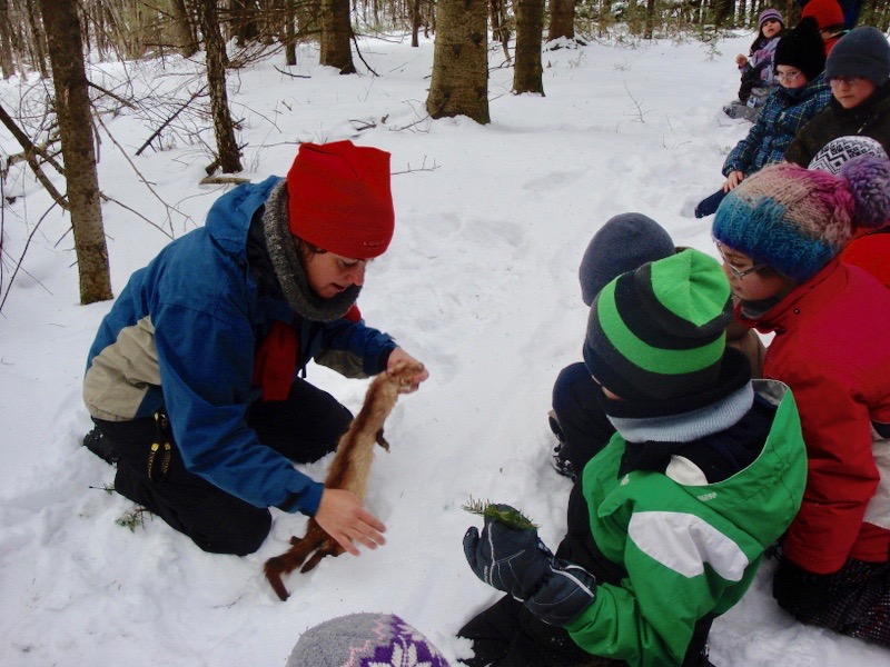 Enfants recevant une formation scolaire sur la faune québécoise
