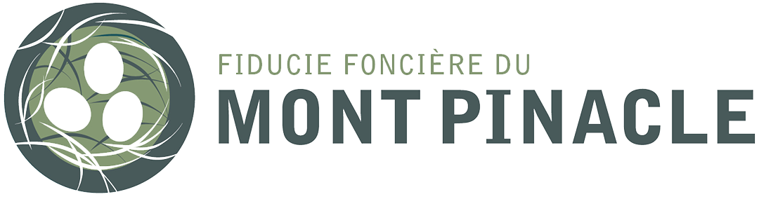 Logo Fiducie fonciere du mont pinacle